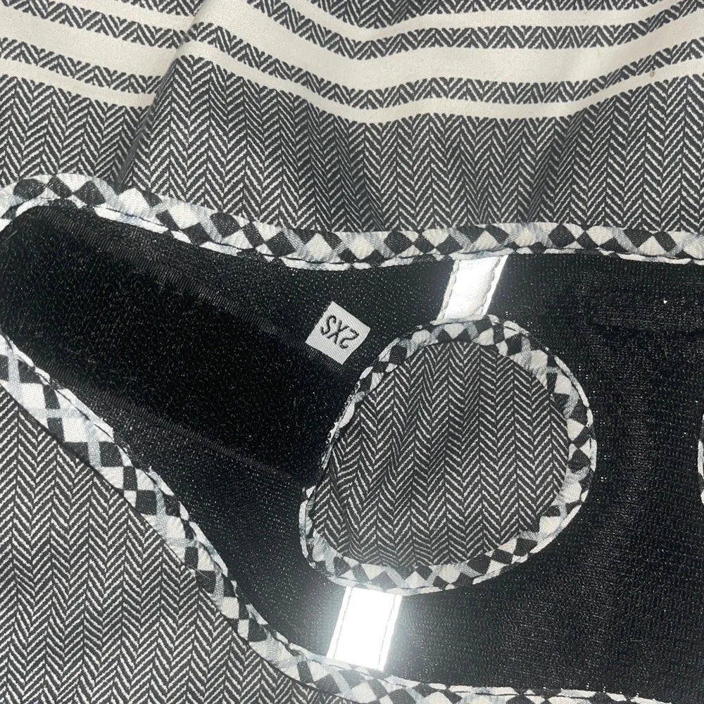 Chic Black and White Cat Harness and Leash Set